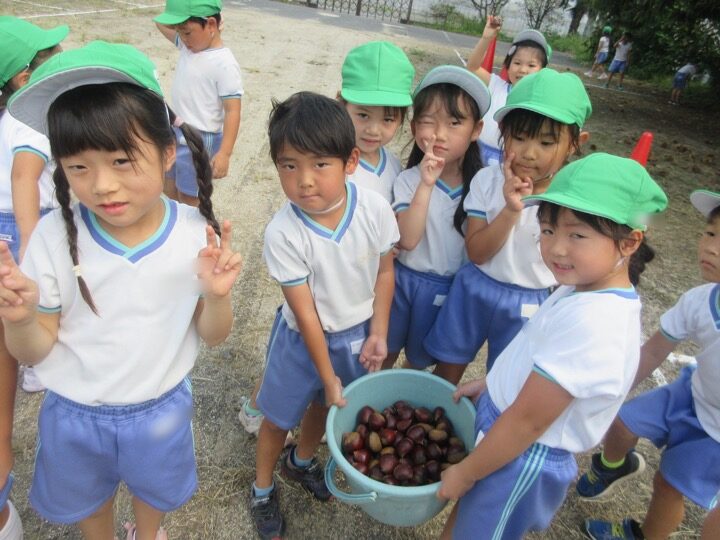 栗拾い🌰